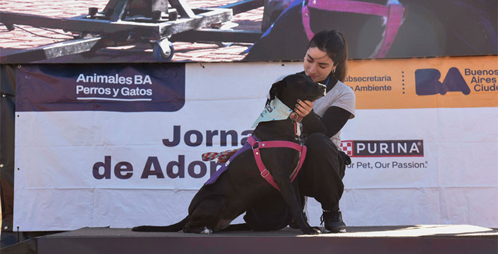Adopción de Perros y Gatos