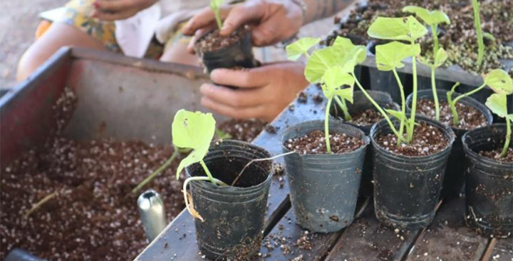 Día Mundial del Ambiente
