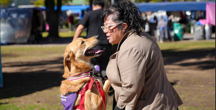 Jornadas de adopción Jornadas de adopción