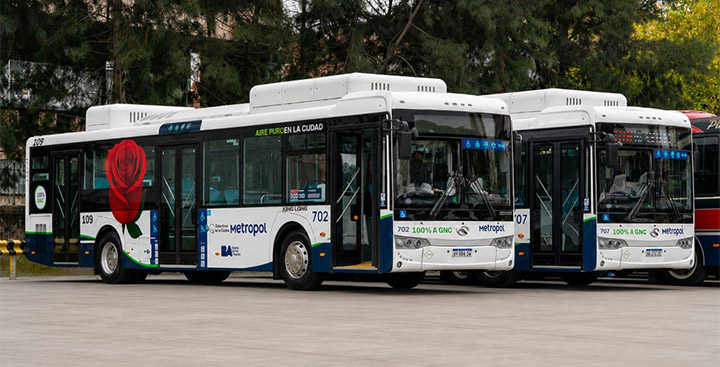 Nuevos colectivos Nuevos colectivos