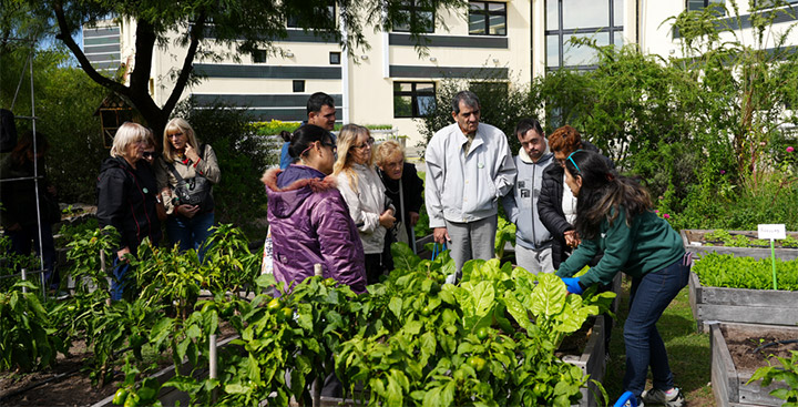 Paseo Ambiental del Sur Paseo Ambiental del Sur
