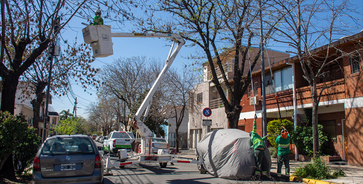 Podas de seguridad Podas de seguridad